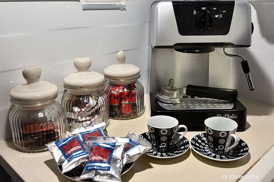 אחוזת בצל התמר