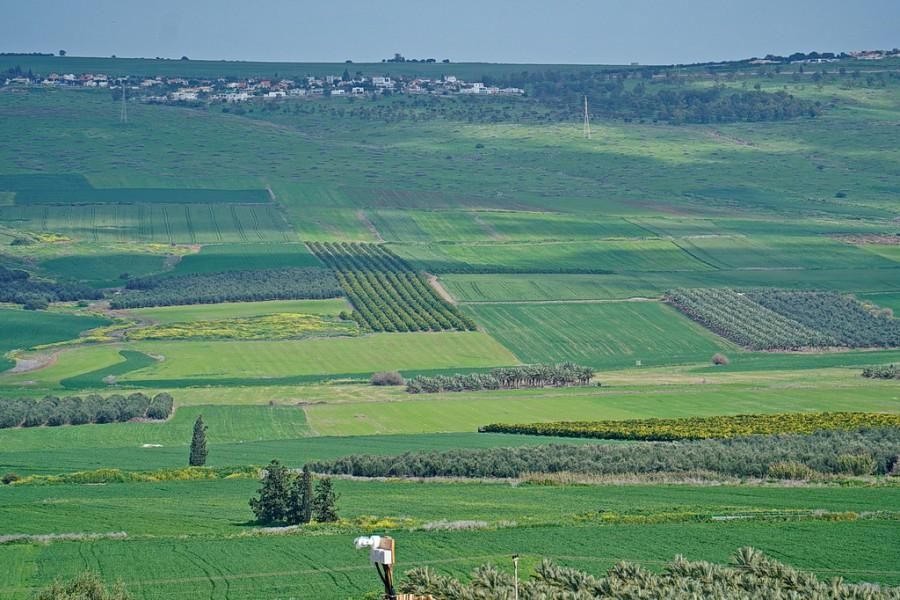 נחלים בקתות בטבע